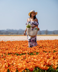 Wall Mural - young woman with dress bag and hat walking in flower field during Spring in the Netherlands, woman with tulip flowers in basket at an Spring flower field with crocus and tulips