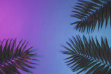 Fototapeta Mapy - Tropical and palm leaves in vibrant bold gradient holographic neon colors , background.
