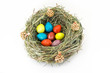 colored easter quail eggs in grass nest with bumps