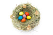 colored easter quail eggs in grass nest with bumps