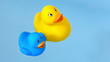 yellow and blue rubber bath ducks in water