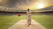 © IndiaPix - Young sportsman strikes the ball while batting in the cricket field