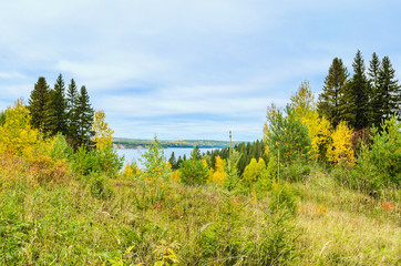 Wall Mural - autumn meadow with hills, colorful trees and bushes in cloudy weather.