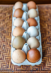 Wall Mural - Colorful organic eggs from pasture raised chicken