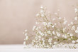 Small white flowers gypsophila on wood table at pale pastel beige background. Minimal lifestyle concept. Copy space