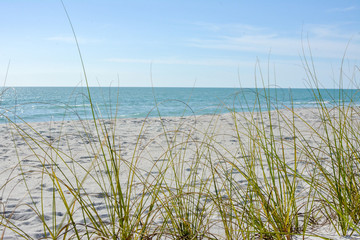 Wall Mural - Tropical white sand beach on the gulf coast of Florida near St. Petersburg