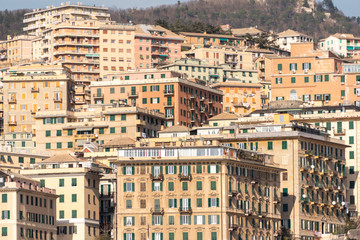 panoramic view of the city of Genoa