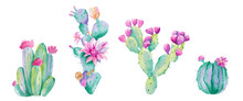 Watercolor Cactus. Raster Illustration. Illustration For Greeting Cards, Invitations, And Other Printing Projects. On White Background.High Resolution.Clipping Path Included.