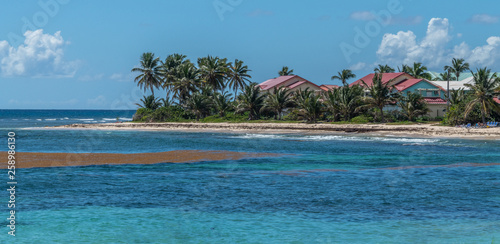 Plage Des Raisins Clairs Saint François En Guadeloupe Buy