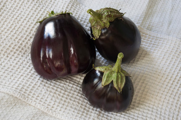 Three rape eggplants are laying on the white background. Autumn vegetables. Delicious and healthy food