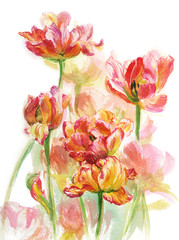 Wall Mural - yellow pink tulips