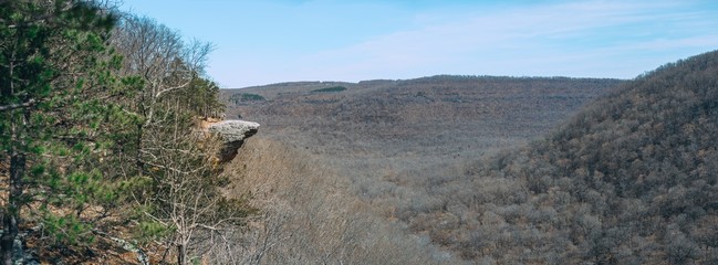 Wall Mural - Panoramic View of Whitaker Point Trailhead National Forest, Kings River Township, AR