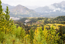 Train Tressel Surrounded With Colorful Leaves In Denali National Park.