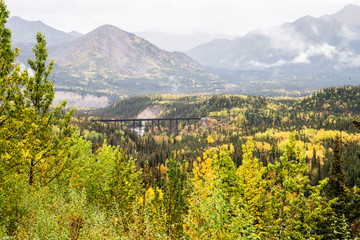 Canvas Print - Train tressel surrounded with colorful leaves in Denali National Park.