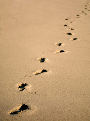 Diagonal footprints in the sand 