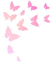 Beautiful Pink Butterflies, Isolated  On A White
