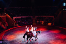 Horses In The Circus. Speech Horses With Trainers On The Stage Of The Circus.