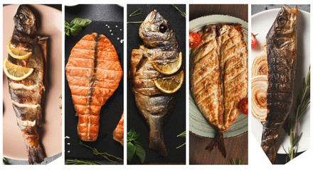 Wall Mural - Grilled fish dishes collage including sea bass, dorado, salmon steak.