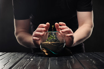 Two male hands are caring for a small garden with tropical plants, succulents and sand in a glass pot.