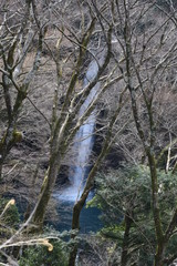 Sticker - The famous waterfall of Japan. 