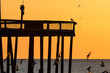 Ocean pier against a yellow sunrise sky with seabirds in flight nearby. Photo by: Chuck Beyer