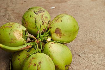 Canvas Print - coconuts 