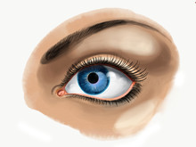 Beautiful Blue Eye