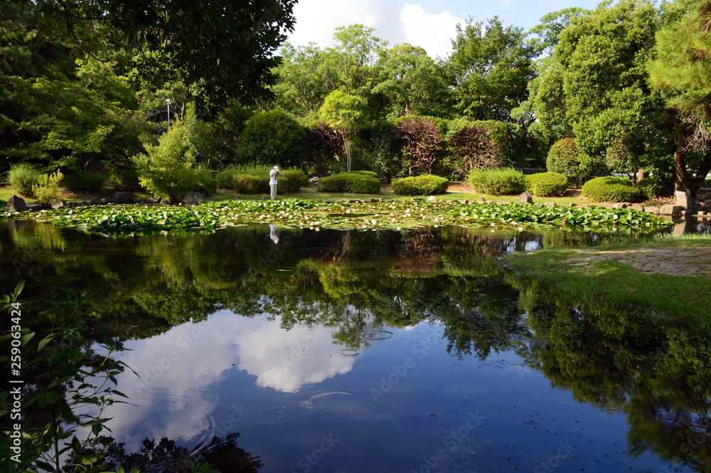 池の水面に 真夏の青空 夏雲 緑の木立が綺麗に映り込んでいる風景 Wall Mural Fujioka Yasunari