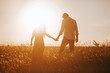 © Vulp - silhouettes of a couple holding hands looking at the bright sunset in a wheat field.