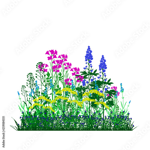 Garden landscapes, summer and spring flower bed, vector illustration