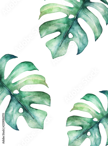 Tropical summer card. Abstract print. Watercolor leaf. Hand drawn illustration