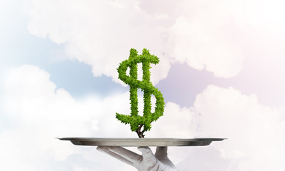 Wall Mural - Hand of waitress presenting dollar sign on tray.