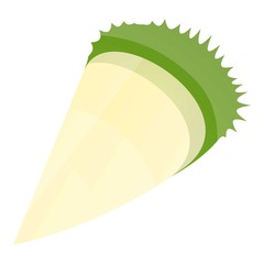 Poster - Piece of durian icon. Cartoon of piece of durian vector icon for web design isolated on white background