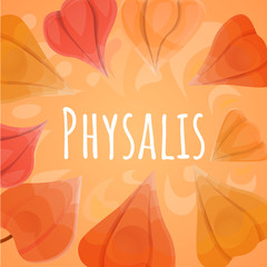 Poster - Ground physalis concept background. Cartoon illustration of ground physalis vector concept background for web design