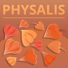 Poster - Physalis berry concept background. Cartoon illustration of physalis berry vector concept background for web design