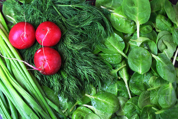 Organic green vegetarian vegetables red radish, dill, spinach and leek top view