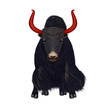 Hand drawn realistic portrait of black yak  – isolated illustration on the white background – symmetrical composition