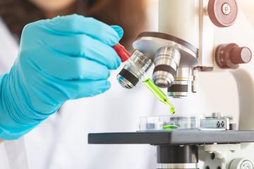 Scientist dropping liquid to petri dish..