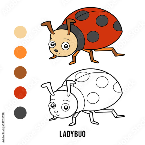 Download Coloring Book Ladybug Stock Vector Adobe Stock