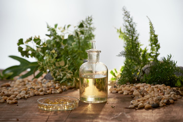 Wall Mural - scientist with natural drug research, natural organic botany and scientific glassware, alternative g