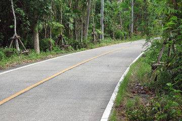 Canvas Print - road and tree in Thailand