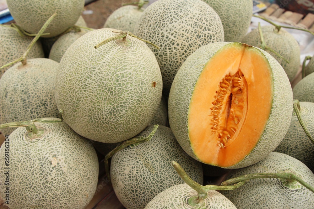 Fresh melon or cantaloupe in the market - obrazy, fototapety, plakaty 