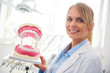© gpointstudio - Portrait of smiling dentist showing an artificial dentures