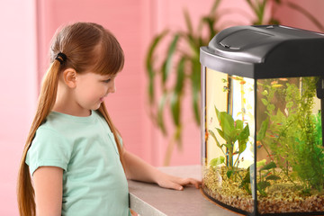Poster - Cute little girl looking at fish in aquarium