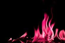 Abstract Chemical Pink Fire Flame Isolated On Black Background.