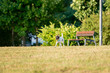 © Gergo Csorba - Parson Russell Terrier dog playing with ball, running, jumping, in nature, outdoors, park at sunset