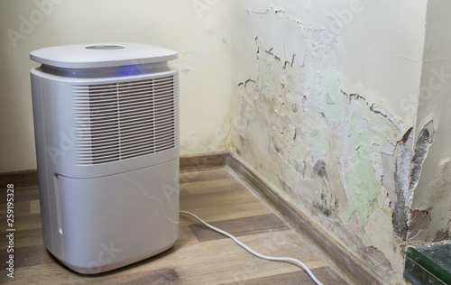 Purifier next to a damaged wall from severe mold and toxic fungus growth. Dehumidifier for water infiltration, moisture, damp and high humidity. Room air filter.