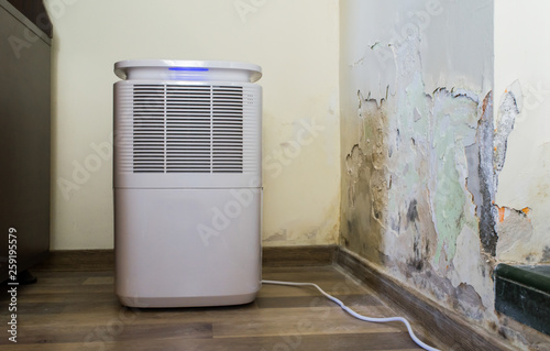 Purifier next to a damaged wall from severe mold and toxic fungus growth causing the paint to peel. Air dehumidifier for water infiltration, moisture, damp, bacteria spores and high humidity.