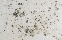 Black Spots Of Toxic Mold And Fungus Bacteria Growing On A White Wall. Concept Of Condensation, Damp, Water Infiltration, Moisture, Dust And Respiratory Problems. 