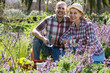 © JackF - portrait of a lovely senior couple taking care of green plants in the garden